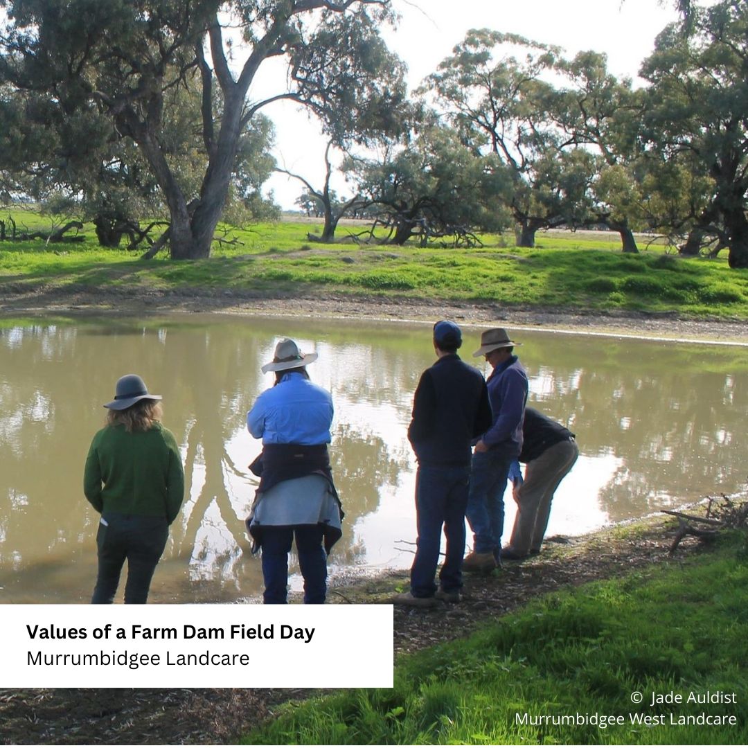 Four people looking at a dam and the surrounding vegetation