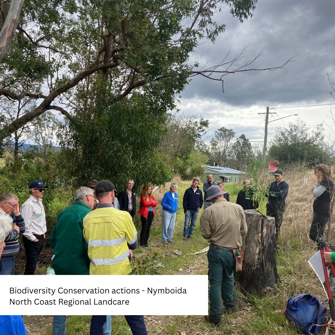 Biodiversity field day attendees
