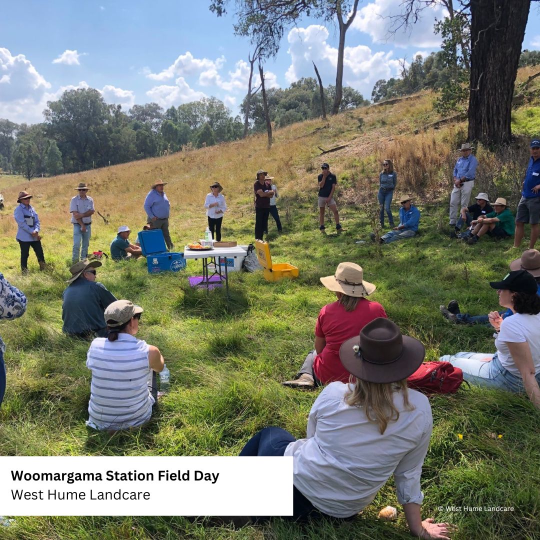 Filed day attendees sitting on the grass